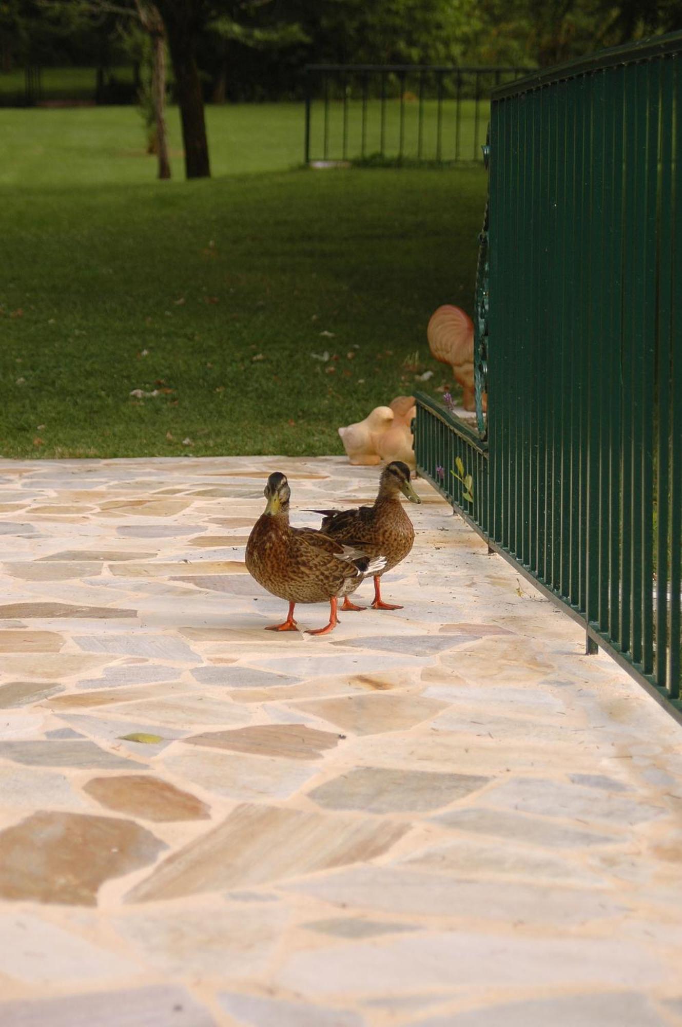 Moulin De Vigonac Otel Valeuil Dış mekan fotoğraf